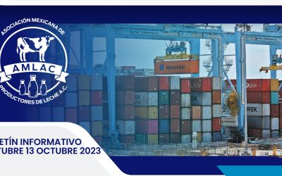 Nota informativa 13 octubre 2023