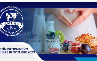 Nota informativa 16 octubre 2023