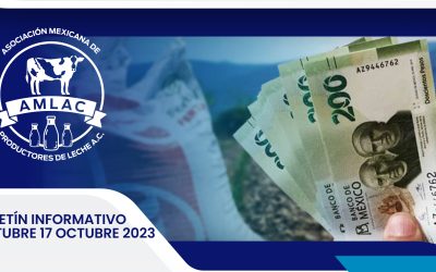 Nota informativa 17 octubre 2023