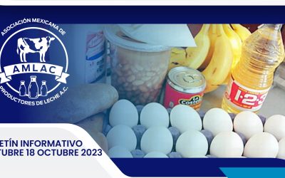 Nota informativa 18 octubre 2023