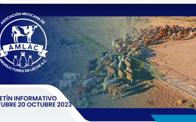 Nota informativa 20 octubre 2023