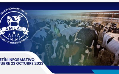 Nota informativa 23 octubre 2023