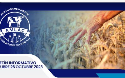 Nota informativa 26 octubre 2023