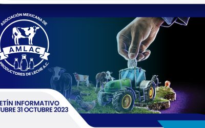 Nota informativa 31 octubre 2023