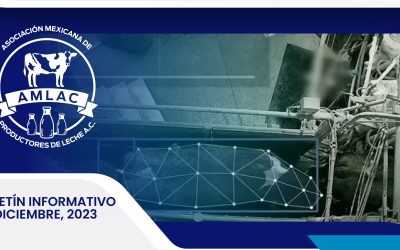 Nota informativa 26 diciembre 2023