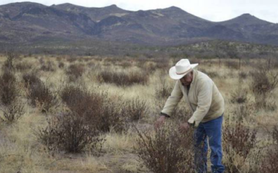 Chihuahua cierra año con sequía del 100%; en 46 municipios es de nivel extremo.