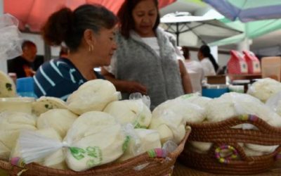 Productores de quesos de Aculco tienen competencia desleal por productos industriales.