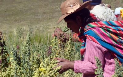 2 de cada 10 unidades de producción en el campo son dirigidas por una mujer.