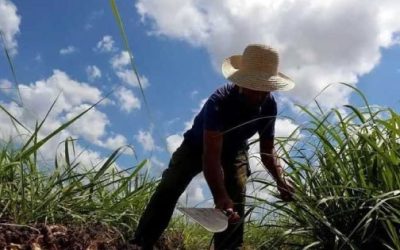 Debe Estado orientar recursos del agro.- SHCP.