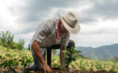 Superficie afectada a causa del clima se triplicó en el primer semestre.