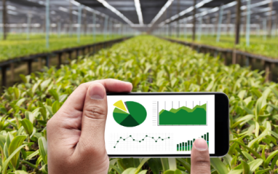 Clasificación de los tipos de cultivo mediante teledetección: Presente y futuro de la agricultura