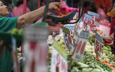 Compra de verduras por Kilo es historia: precio obliga a llevar de medio o por pieza.