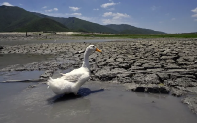 Ordena INAI a Conagua informar sobre los efectos del cambio climático en México.