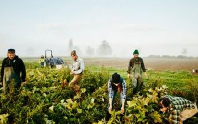 El Campo ante la encrucijada de transición verde o rentabilidad.