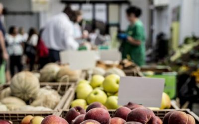 Urbanización acelerada y emergencias climáticas agravan el hambre: FAO.