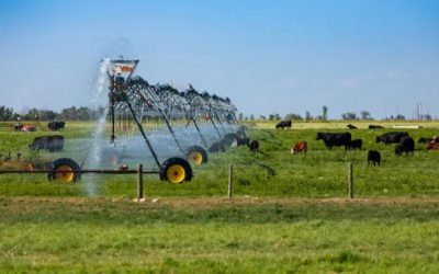 Eficiencia de agua, labor pendiente con productores: Sader