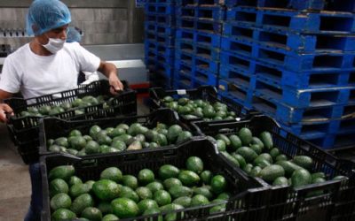 México asciende al 7° lugar mundial como exportador de alimentos.