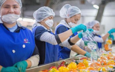 Aumenta 11.15% el superávit del país en agroalimentos.