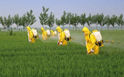 Prohíben que menores usen químicos en el campo