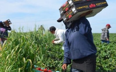 Destacan inversión en el campo de BC