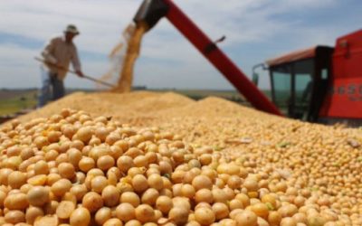 La soya repunta al iniciarse la gira agrícola en Estados Unidos.