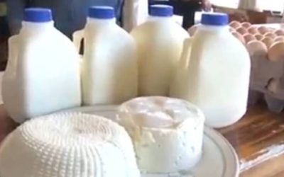 Autoridades sanitarias de Sinaloa avalan leche producida en Mazatlán