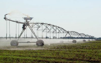 Desarrollo Rural señala la falta de tecnificación en sistemas de riego.