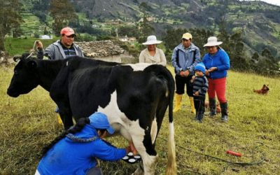 Pega de nuevo inseguridad entre ganaderos