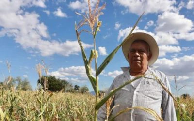 La crisis en el campo genera mayor desempleo.