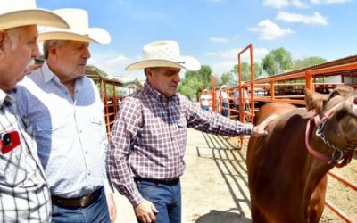 Reconocen en EU al ganado de Coahuila