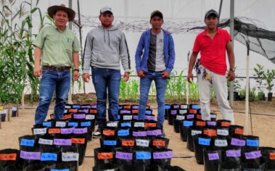 Biofábricas, opción para el campo mexicano