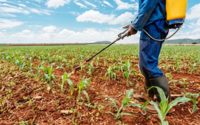 Agroquímicos persisten en agua y suelo