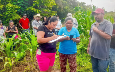 Implementan acciones de control biológico en el campo guerrerense