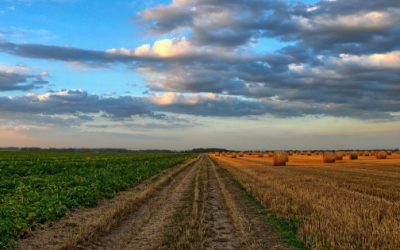 Consejo Nacional Agropecuario reporta cumplimiento de un 71.4% de los ODS de la industria agroalimentaria