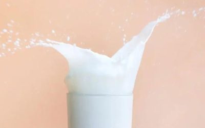 Desvirtuando cinco mitos comunes sobre el consumo de leche