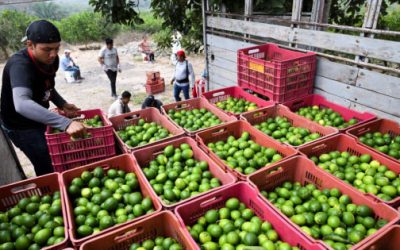 Apuestan mercados por más recortes a tasas de referencia