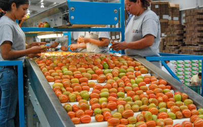 Récord, en cifras del agro