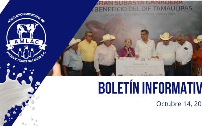 Nota informativa 14 octubre 2024