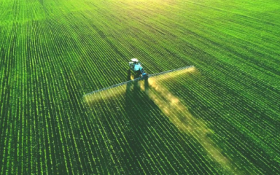 Fertilizantes de nitrógeno, tan imprescindibles como contaminantes