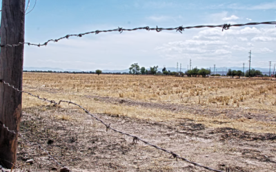 Falta de lluvia impactó negativamente a agricultores de Durango