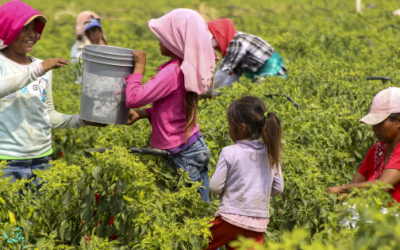 Eliminar el trabajo infantil y juvenil en la agroindustria