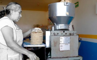 El gobierno de México busca reducir el precio de la tortilla y el maíz.