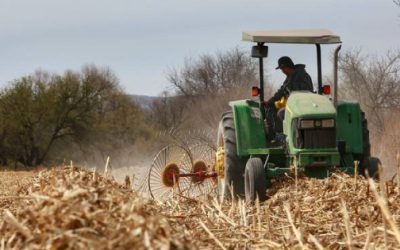 Coahuila y Durango buscarán opciones si no hay ciclo agrícola