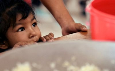 Impacto de la desnutrición infantil en el desarrollo cognitivo y académico