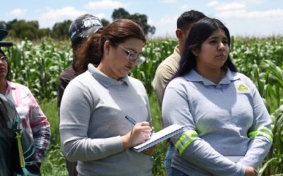 GRUMA Y CIMMYT Capacitan A Técnicos De Sonora Y Sinaloa En Gestión Agronómica Para Enfrentar Retos Del Campo Mexicano