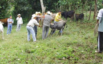 Urgen ganaderos a parar acoso militar